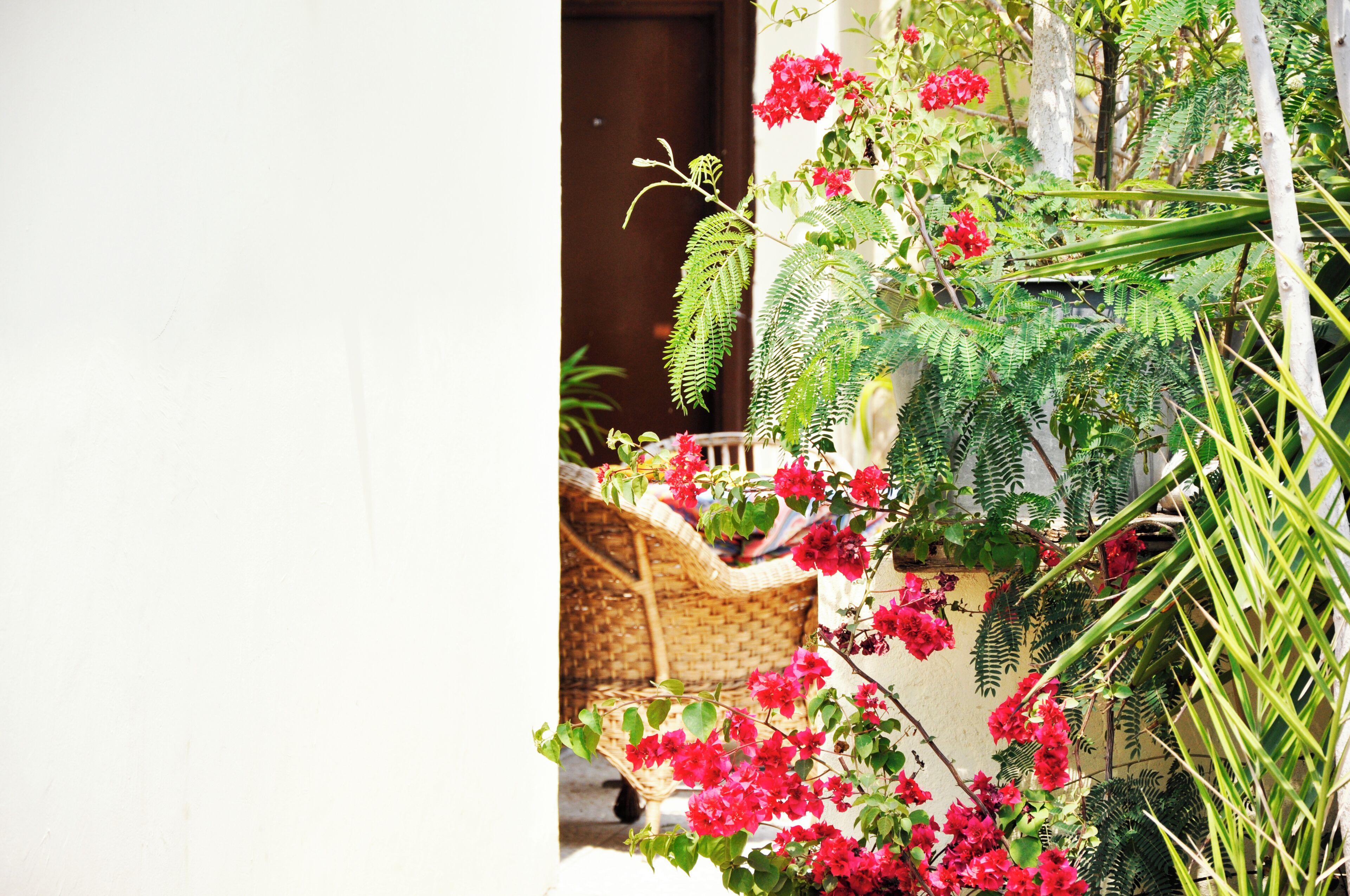 Rideaux occultants, Wi-Fi gratuit, draps fournis