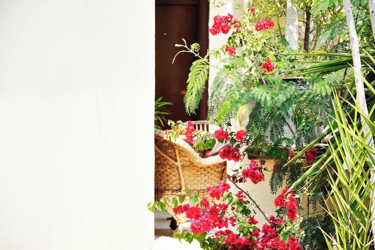 Cortinas opacas, wifi gratis, ropa de cama