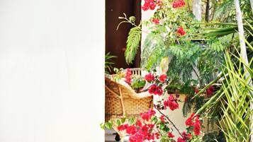 A wicker chair, a potted plant with red flowers, and a white wall.
