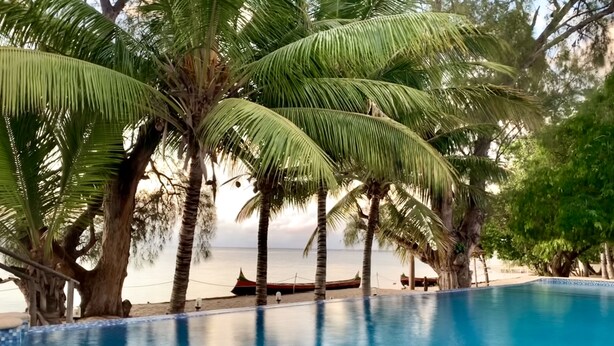 A swimming pool with palm trees and a beach view. - Bamboo Club (Ifaty)