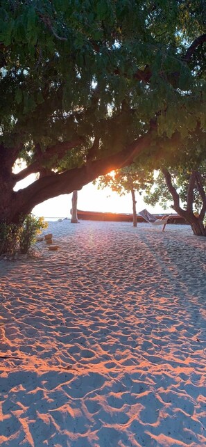 Detall de l'exterior