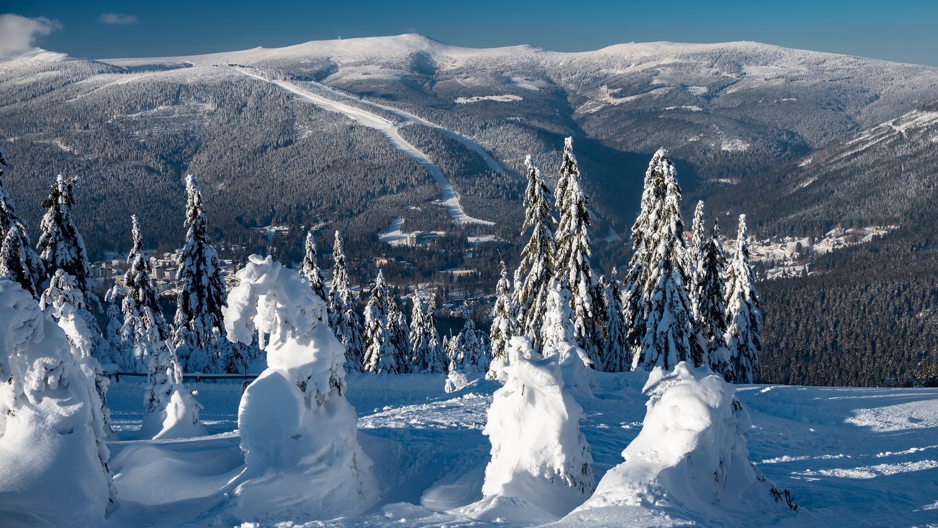 A snowy landscape with snow-covered trees and a mountain range in the background.