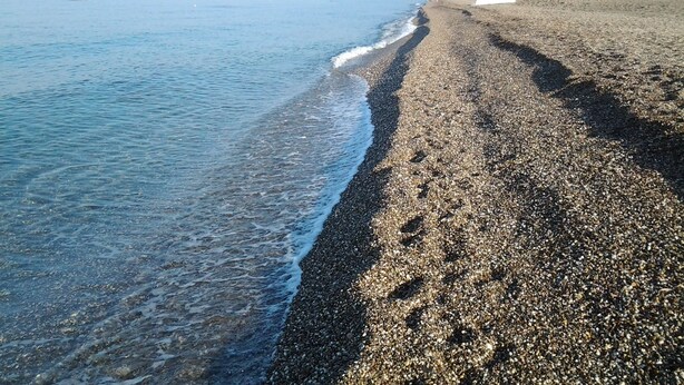 Una playa cerca