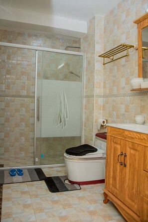 Hair dryer, towels, soap, shampoo - Spacious one bedroom apartment in Kileleshwa Nairobi (Nairobi)