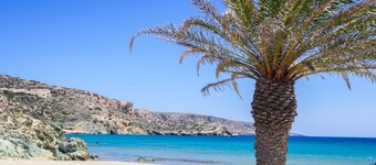 魅力的なクレタ島の家、ジャスミン