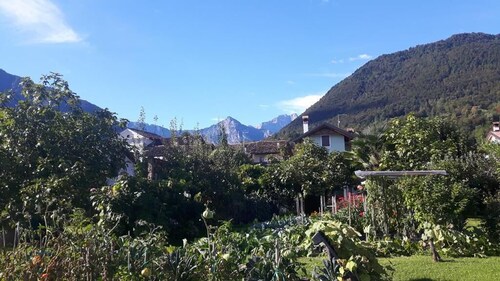 Green Rose bed and breakfast