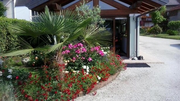 A building with a covered entrance, surrounded by a gravel driveway and a garden with various flowers and a palm tree. - Green Rose bed and breakfast (Cesiomaggiore)