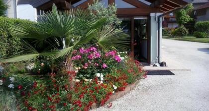 Green Rose bed and breakfast