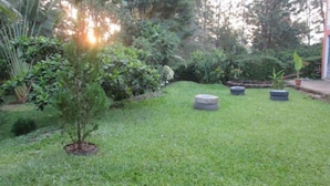 A well-maintained garden with a small tree, neatly trimmed grass, and three tires arranged in a row. - Snow Peak Hotel (Chogoria)