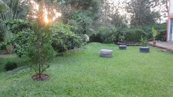 Jardin