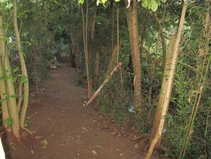 Jardim