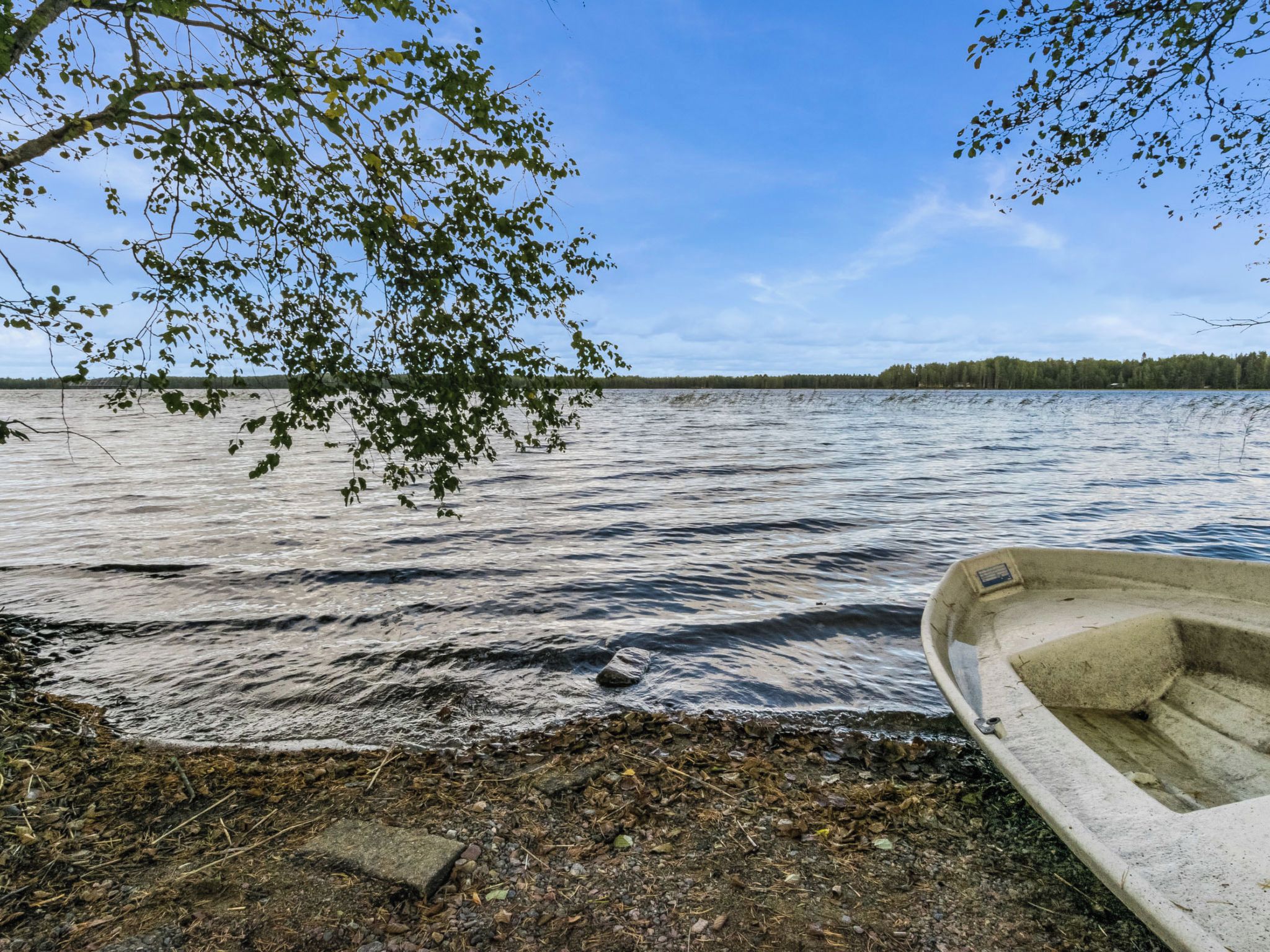 Um lago tranquilo com um barco na margem e um galho de árvore pendurado sobre a água.