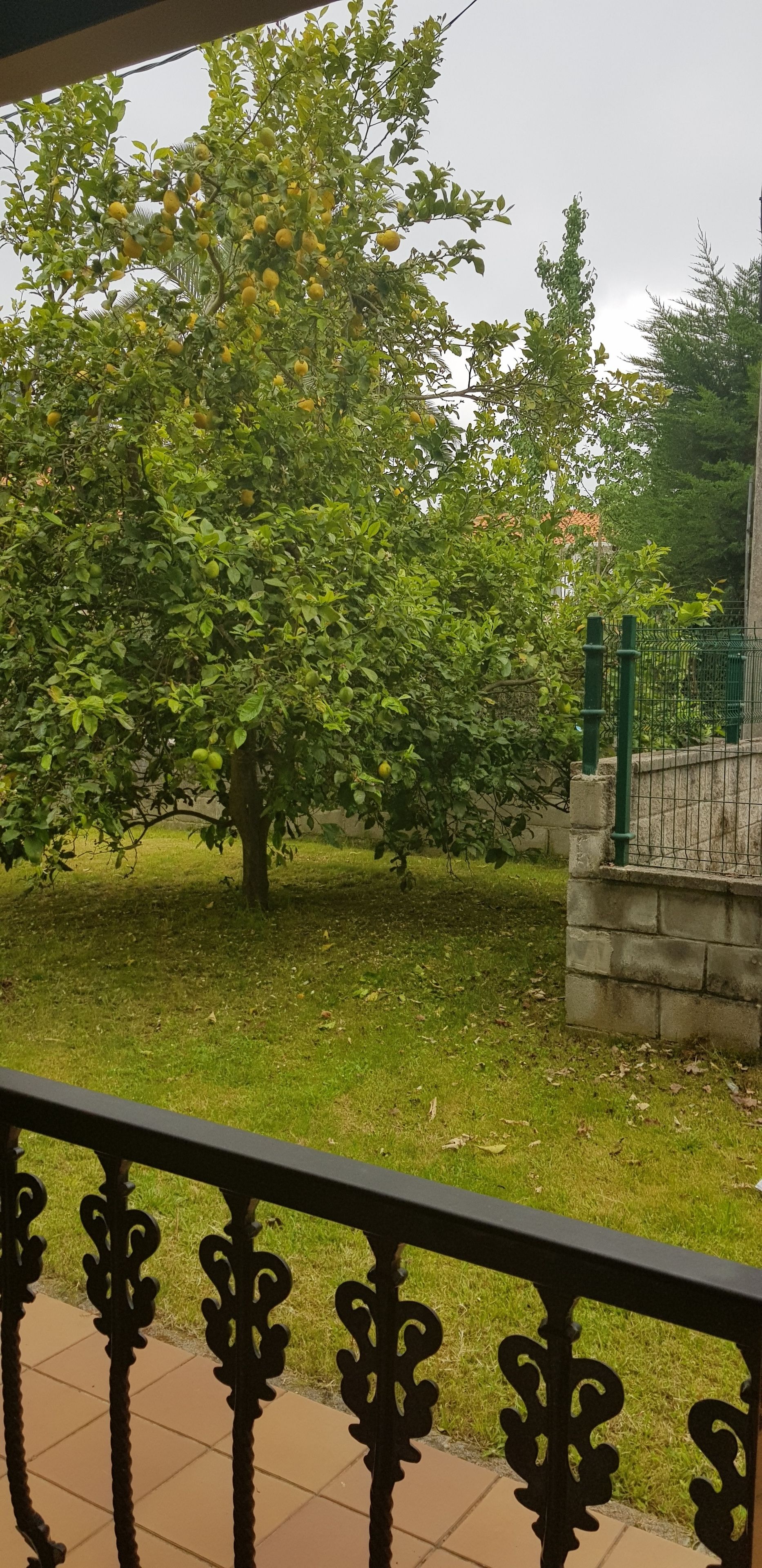 Foto - posada carral cabarceno