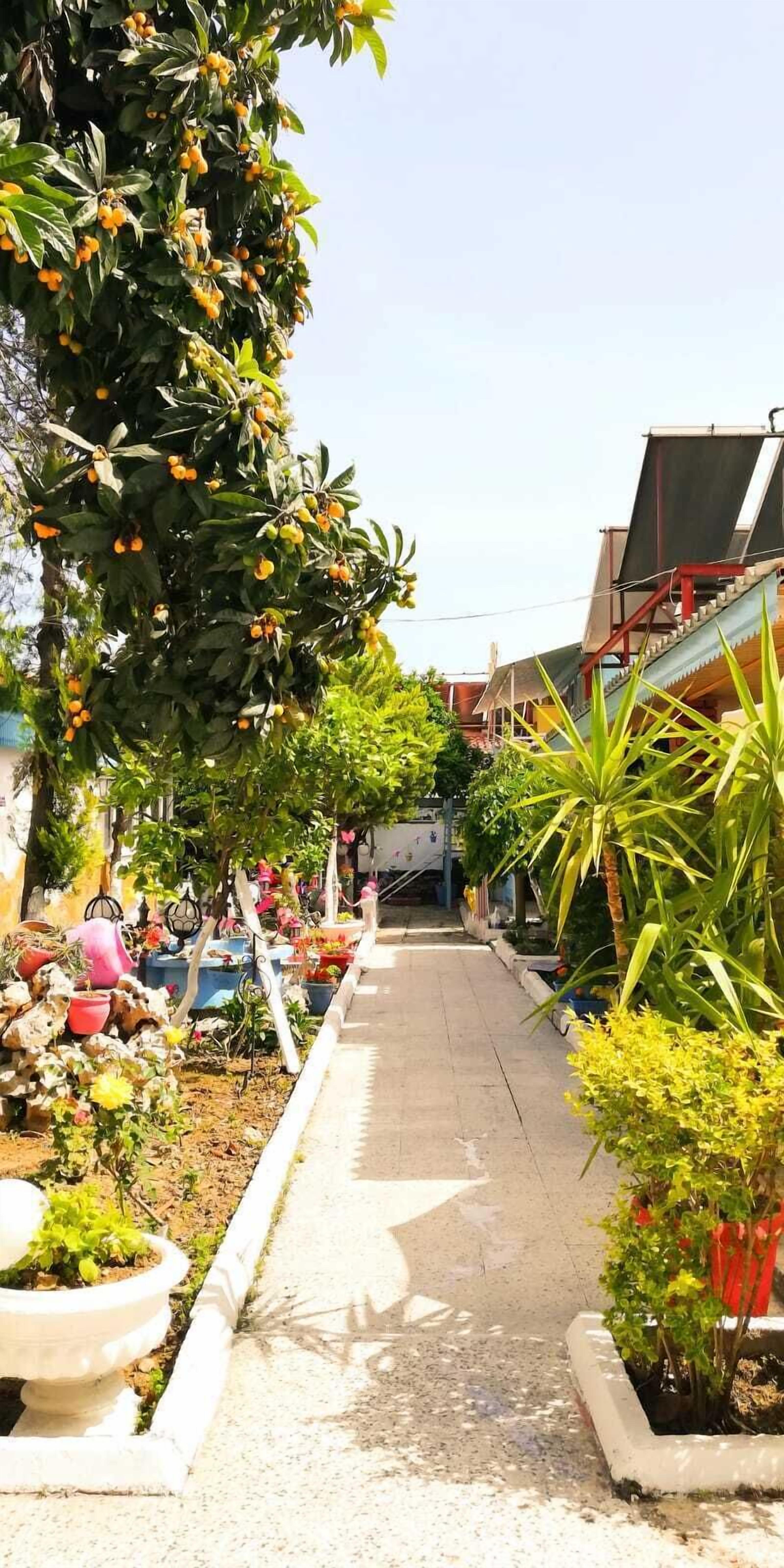 Enceinte de l’hébergement