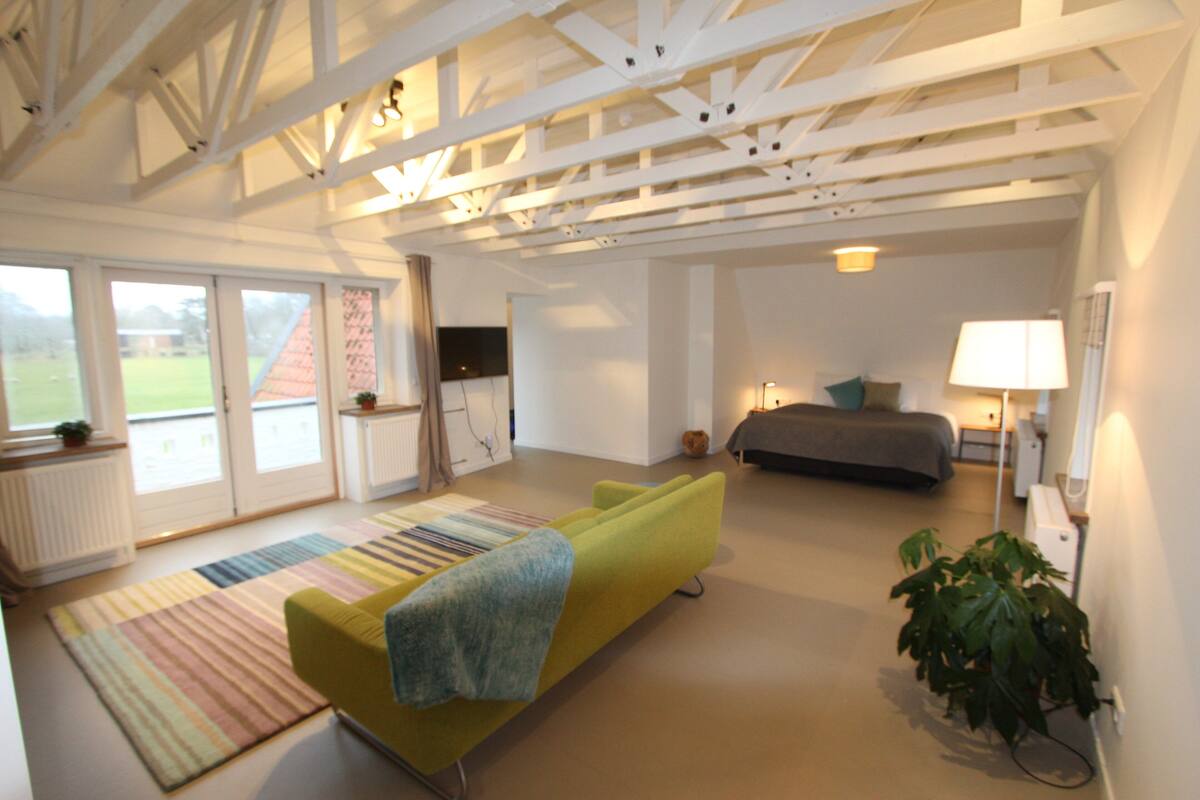 A spacious room with a large window, a sofa, a bed, and a plant.