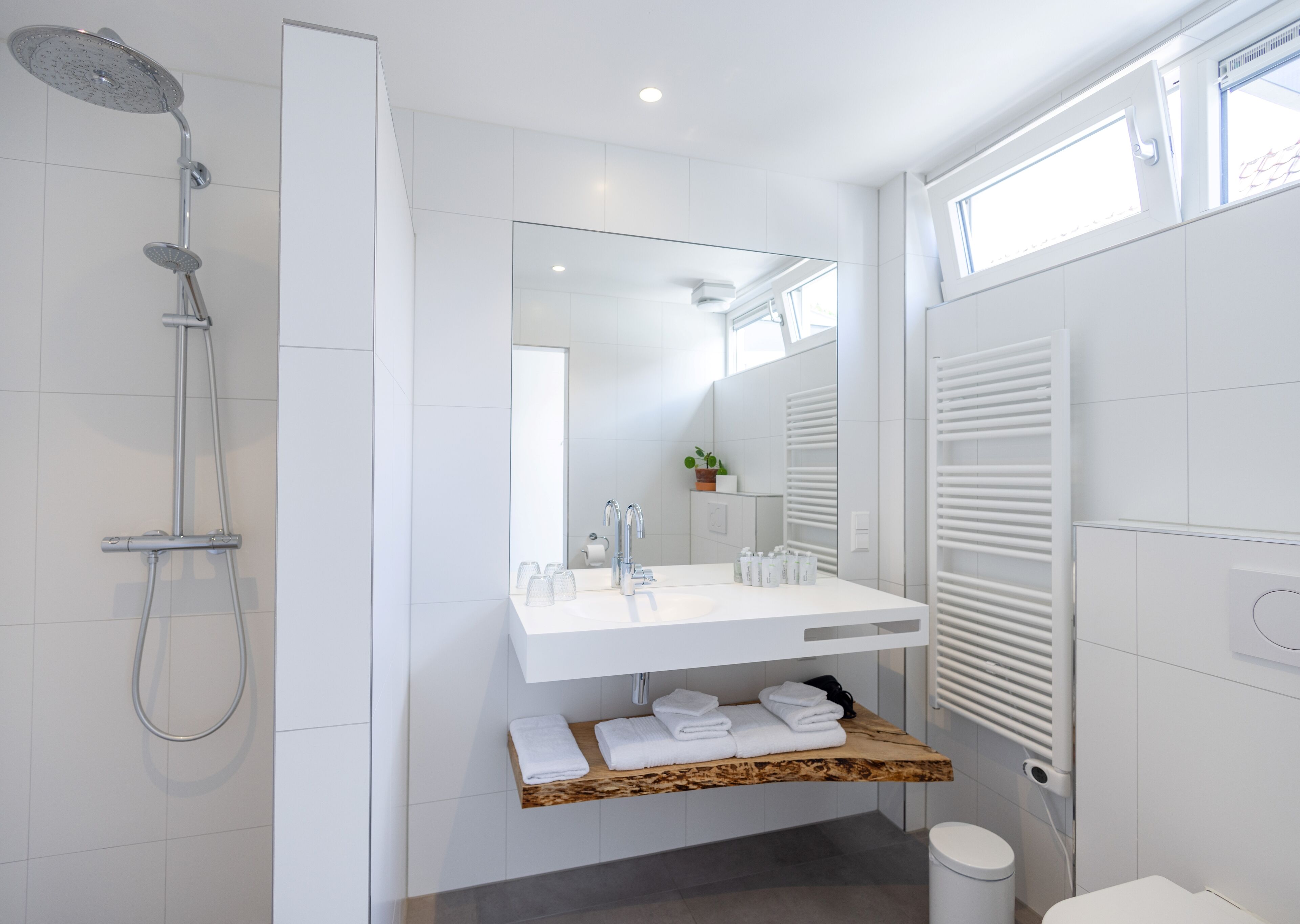 Een douche, een regendouche, gratis toiletartikelen, een haardroger