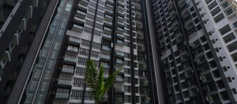 D Pristine Family Suite By Holi