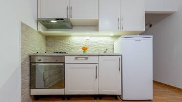 Full-sized fridge, oven, stovetop, electric kettle