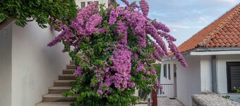 Guest House Marija in perfect location