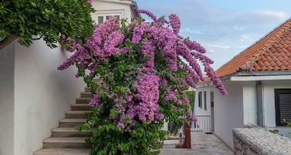 Guest House Marija in perfect location