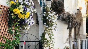 A courtyard with potted plants and flowers, a metal gate, and a building with a white wall and a black door. - Capiedra Hotel (Nevsehir)