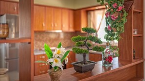 Una cocina con armarios de madera, una encimera con plantas en macetas y una planta colgante.