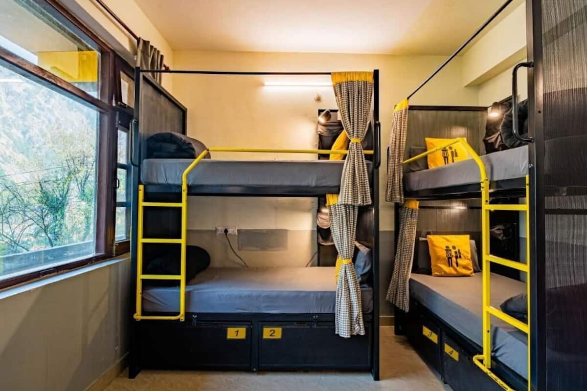 A bunk bed room with a ladder, numbered compartments, and a window with a view of trees.
