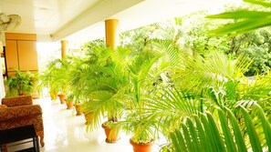 Vue sur le jardin