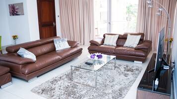 LED TV, Netflix, pay films