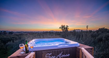 Zante Lagos Holiday Homes