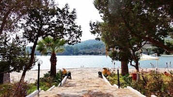 Voorkant van accommodatie