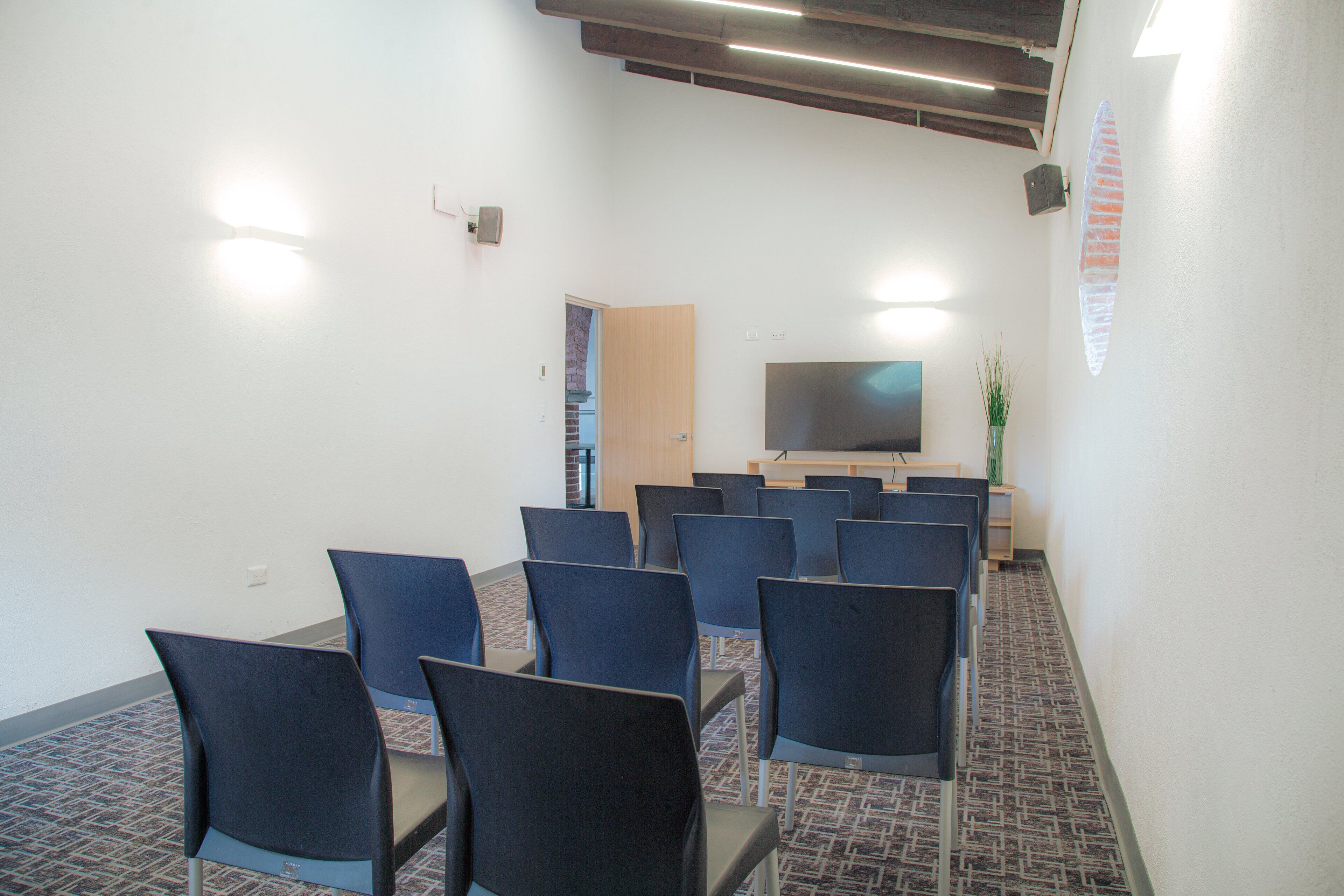 A conference room with rows of chairs, a flat-screen TV, and a small plant.