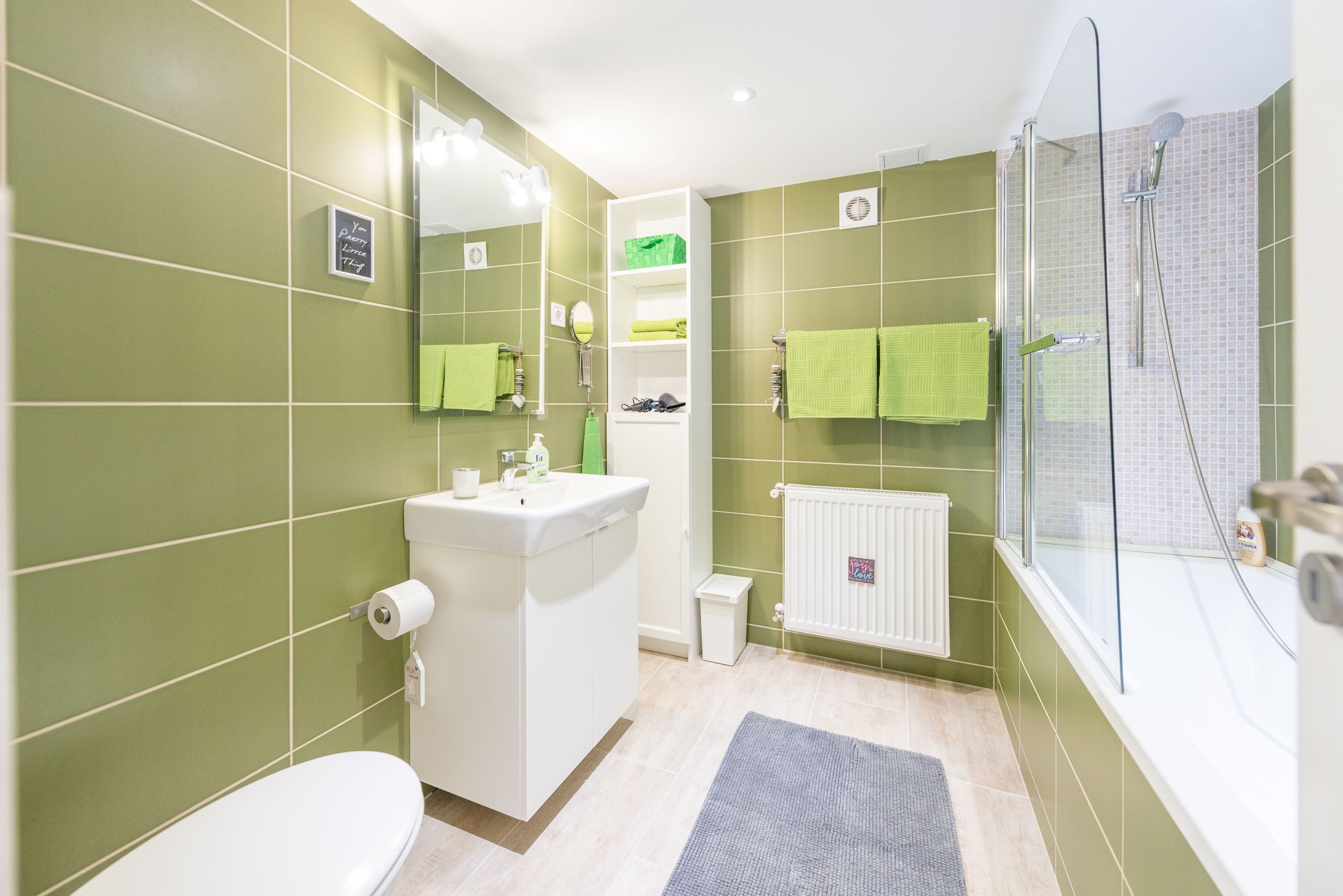 design apartment, 1 queen bed with sofa bed (green) | bathroom | hair dryer, towels, soap, shampoo