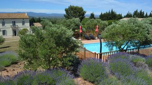 A pool area with a wooden deck, surrounded by lavender bushes and trees, with a view of mountains in the background. - Olive Tree, Superb gîte, Heated Pool near Carcassonne, overlooking Canal du Midi (Marseillette)
