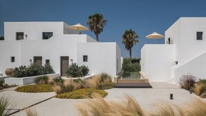 Un bâtiment moderne de couleur blanche, doté de nombreuses fenêtres et portes, entouré de jardins aménagés et de palmiers.