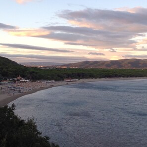 Plage, chaises longues, parasols