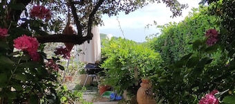 Il Cenacolo Di Sissi