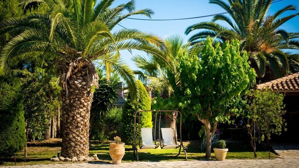 A garden with palm trees, a stone wall, and a tiled roof structure. - Denise Apartments (Zakynthos)