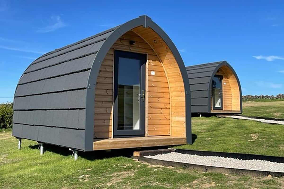 Two modern, semi-circular wooden cabins with grey roofs, large windows, and a grassy field in the background.