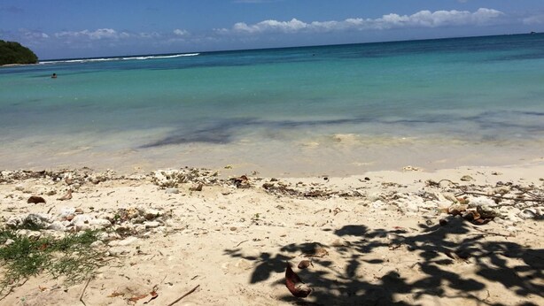 A beach with clear turquoise water, sandy shore, and some vegetation. - Le Saint Georges (Le Gosier)