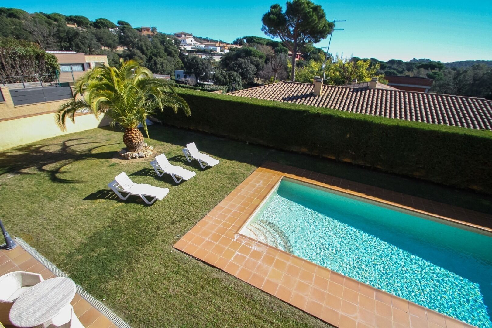 Una piscina con borde de baldosas, rodeada de césped y palmeras.