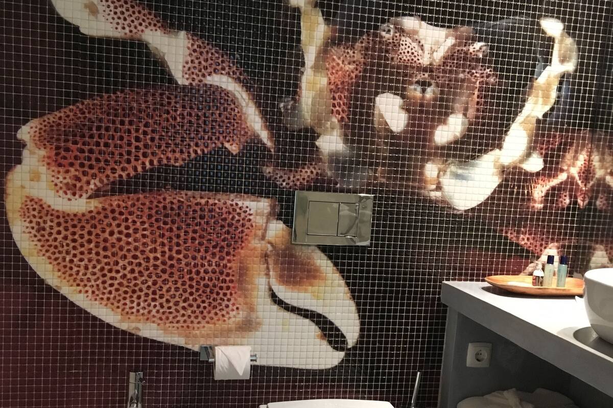 standard double room | bathroom | hair dryer, dressing gowns, bidet, towels