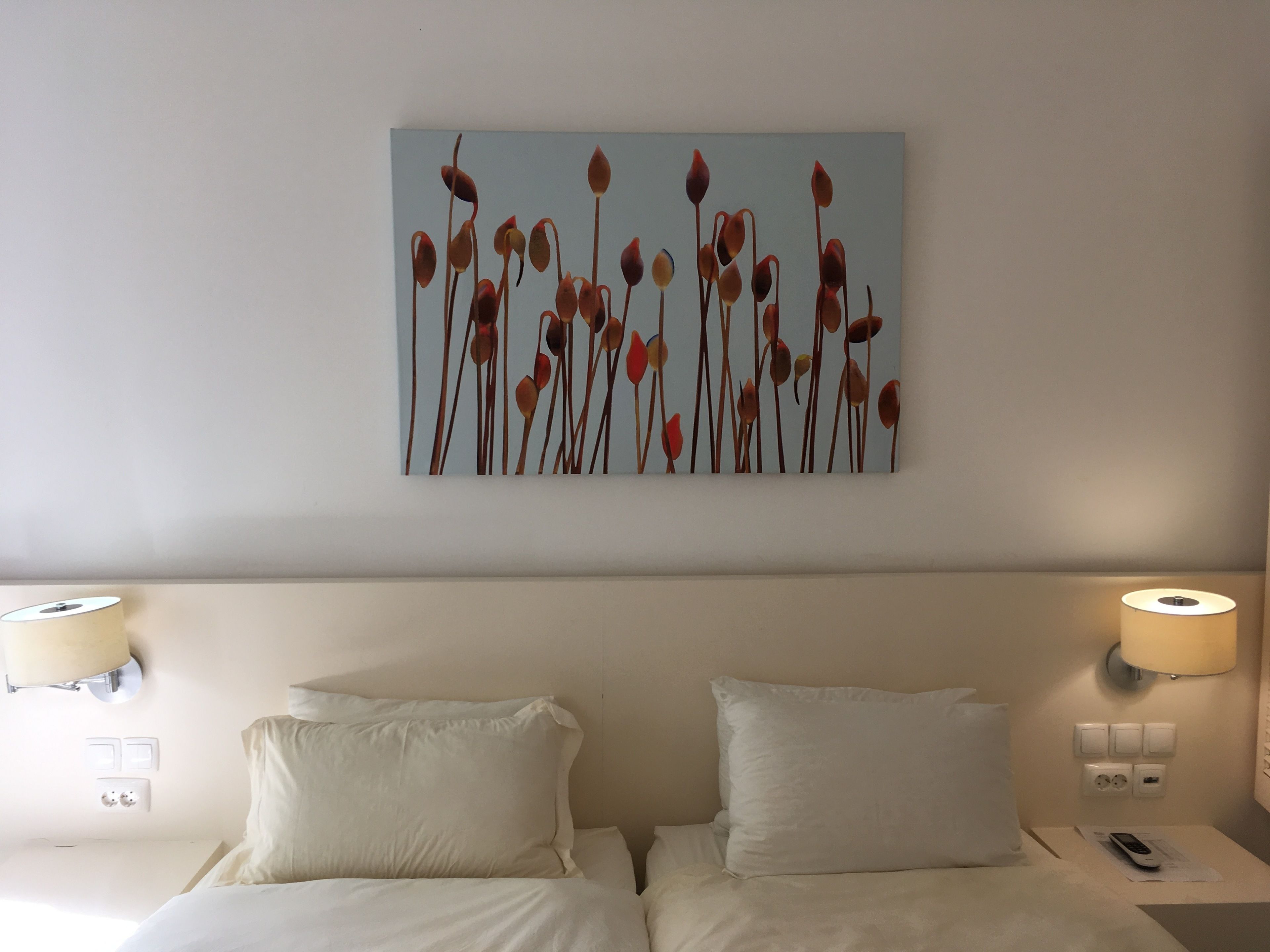 standard double room | blackout curtains, bed sheets