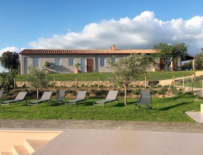 A modern house with a tiled roof, a stone pathway, and a grassy lawn with sun loungers. - Marrucheti 82 (Campagnatico)