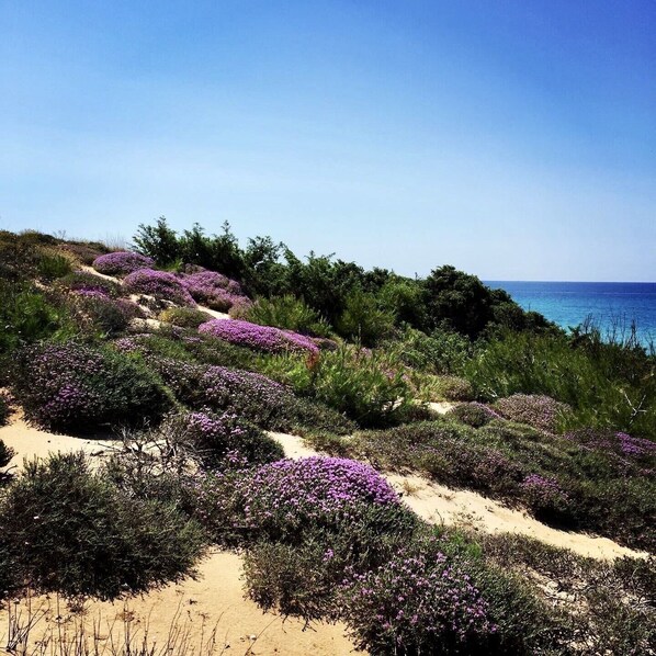 Sun loungers, beach towels - Corte del Sole (Manduria)
