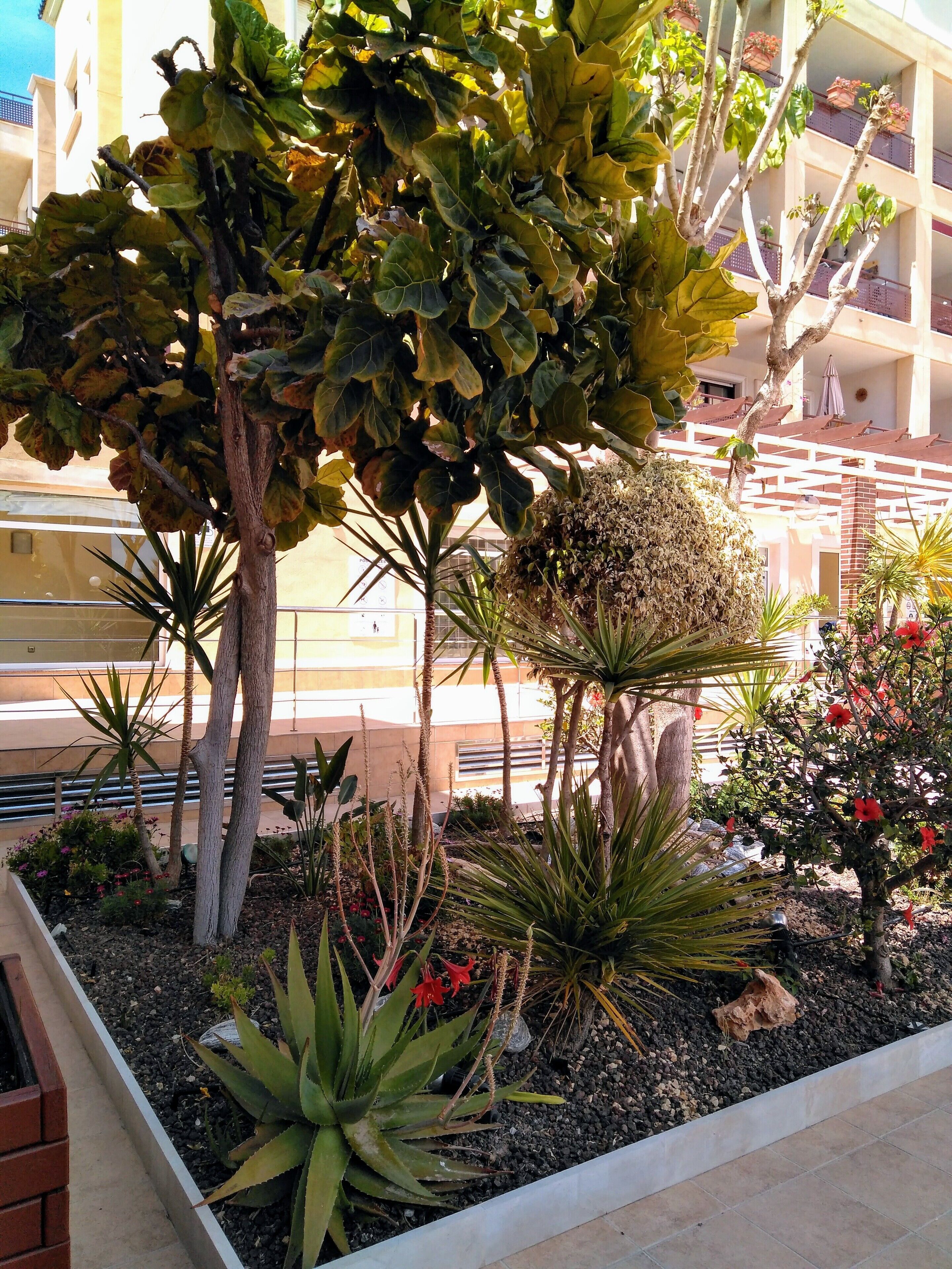 Un jardín ajardinado con diversas plantas y árboles, una jardinera de ladrillo y un edificio con balcones al fondo.