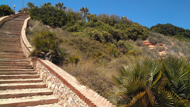 A set of stone steps leading up a hill with a view of a forested area and a clear blue sky.