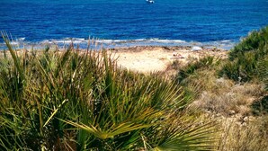 A beach with clear blue water, sandy shore, and some vegetation in the foreground.