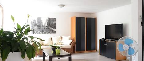 TV, DVD player, books, video library