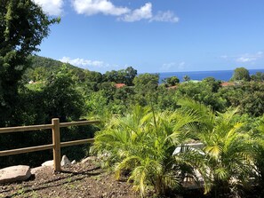 Terrain de l’hébergement 